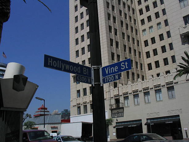 Hollywood & Vine stock photo
