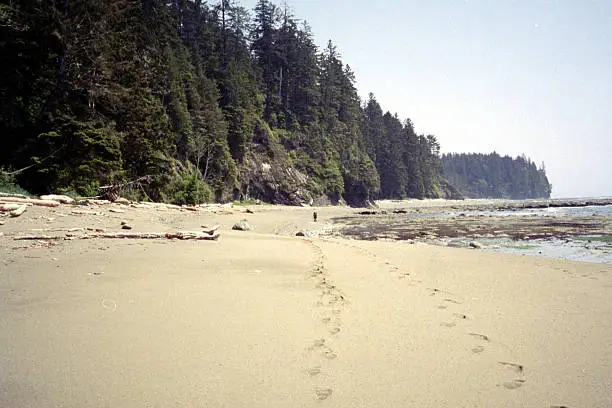 A set of footprints along the beach of the West Coast Trail