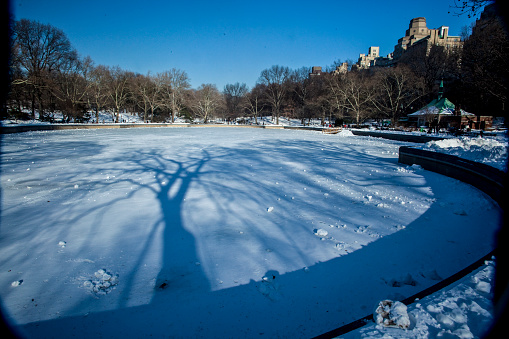 Central park in Winter