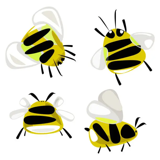 Vector illustration of Bees and bumblebees vector elements set