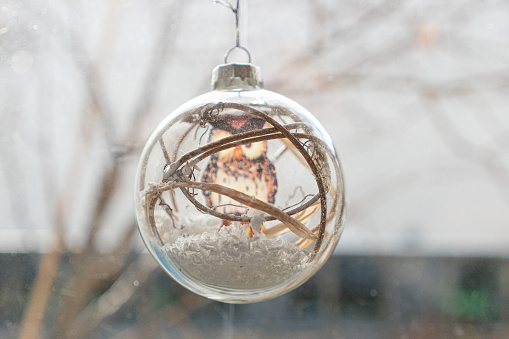 Christmas glass globe ornament with owl. Shallow depth of field.