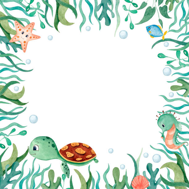 Watercolor oceanic frame border with cute turtle,seaweed, starfish, coral reef,fishes,seahorse etc. Illustration for design, print or background Watercolor oceanic frame border with cute turtle,seaweed, starfish, coral reef,fishes,seahorse etc. Illustration for design, print or background sea turtle clipart stock illustrations