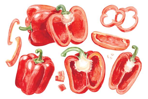 Red peppers watercolor set. Hand-draw illustration Red peppers watercolor set. Hand-draw illustration. High quality photo red bell pepper stock illustrations