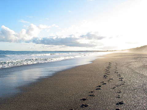 Footprints along a beach.