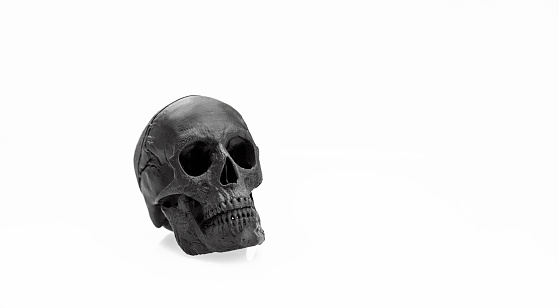 Fake human skull on black and white background