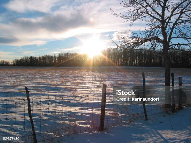 Foto de Sol Em Um Campo Nevado e mais fotos de stock de Agricultura - Agricultura, Arame, Campo