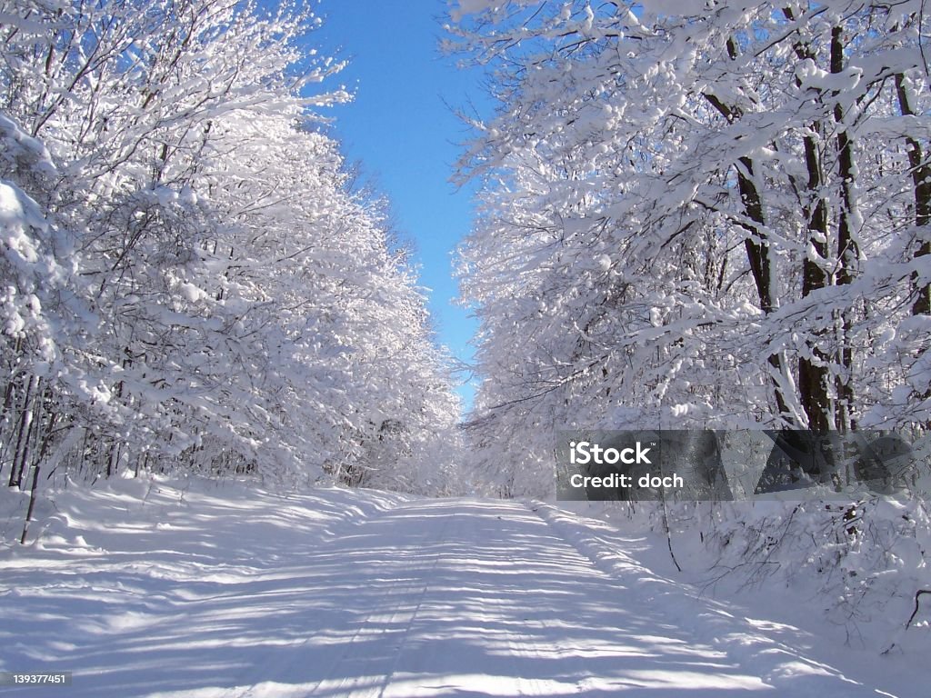 Winter Road - Lizenzfrei Baum Stock-Foto