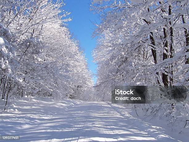 Winter Road Stockfoto und mehr Bilder von Baum - Baum, Einspurige Straße, Fotografie