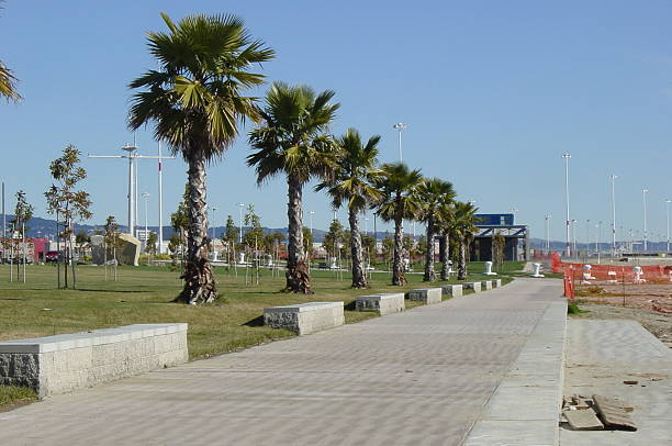 Port of Oakland Palm Trees stock photo