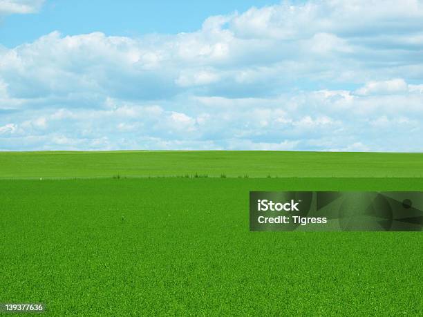 Greenfield Leer Stockfoto und mehr Bilder von Abgeschiedenheit - Abgeschiedenheit, Agrarbetrieb, Blau