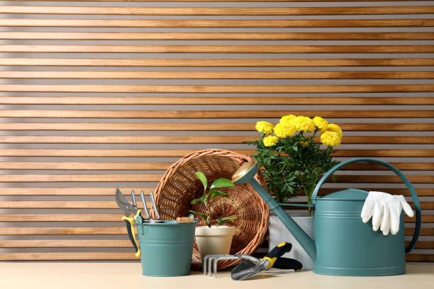 istock Gardening tools and houseplants on wooden table. Space for text 1393776480