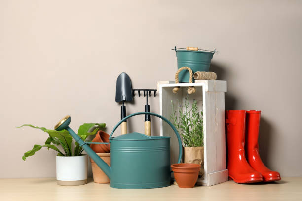 istock Gardening tools and houseplants on wooden table 1393776495