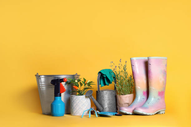 istock Gardening tools and houseplants on yellow background. Space for text 1393776634