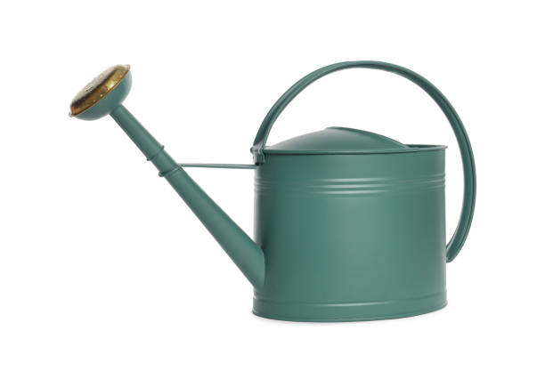 istock Watering can isolated on white. Gardening tool 1393777095