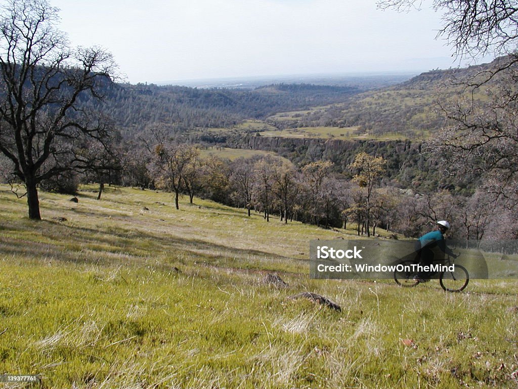 Bidwell Park ciclismo de montaña - Foto de stock de Chico libre de derechos