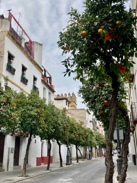 istock Spain - Andalousie- Cordoba 1393777773