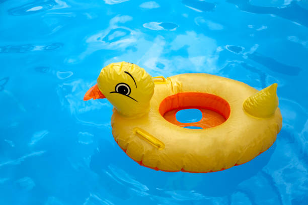 istock plastic inflatable duck in swimming pool 1393778473