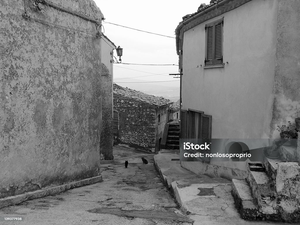 Old ciudades con Cat - Foto de stock de Abandonado libre de derechos