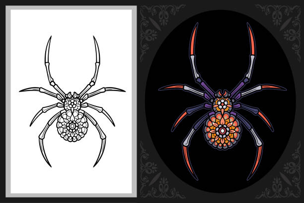 Colorful spider coloring book art with black line sketch isolated on black and white background Colorful spider coloring book art with black line sketch isolated on black and white background spider tribal tattoo stock illustrations