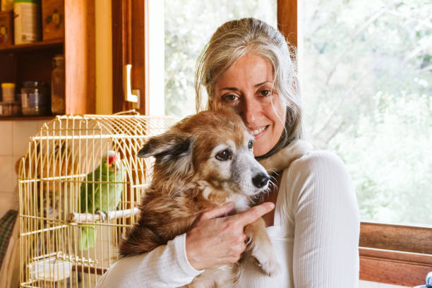 istock Woman with dogs in her kitchen 1393784365