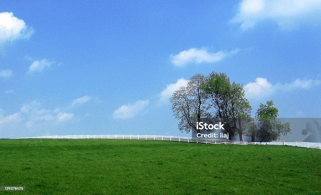 Trennung - Lizenzfrei Agrarbetrieb Stock-Foto