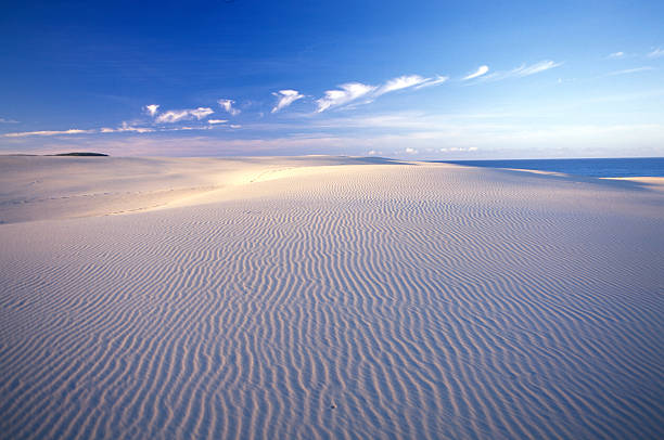 Indian Head, Fraser Island, Australia Fraser is the largest sand island in the world and one of the most unique ecological masterpieces in Australia. It stretches over 120 kms long and 30kms across at its widest point. Indian Head, at the north end, offers miles of rolling sand dunes, beautiful as the sun goes down. fraser island stock pictures, royalty-free photos & images