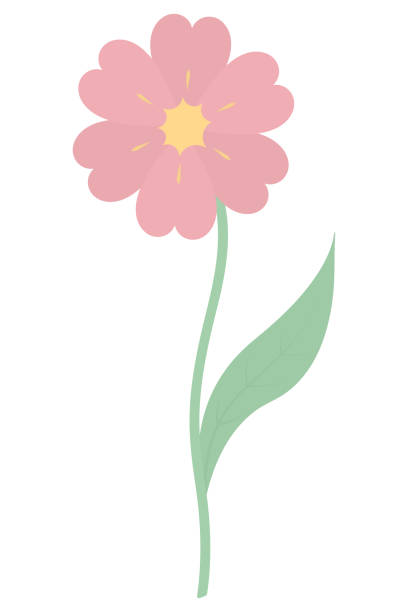 istock Flower. A blooming bud with a yellow core. Flowering plant with pink petals. Color vector illustration. Green leaf on the stem. Isolated background. Flat style. 1393785885
