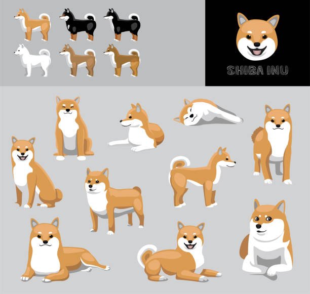 ilustrações, clipart, desenhos animados e ícones de dog shiba inu cartoon vector ilustração conjunto de variação de cores - young animal characters clothing coat