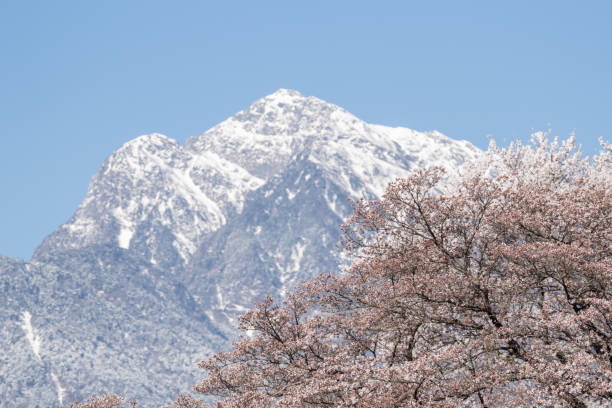 mt. Kai-Komagatake yamanashi, Japan akaishi mountains stock pictures, royalty-free photos & images