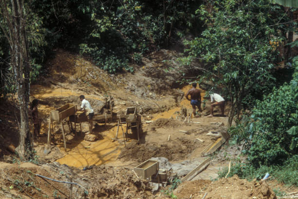 Prospectof Cachoeira do Piriá Illegal gold mine at Cachoeira do Piriá, a village near Viseu, Amazon, Pará State, Brazil. Rosalvo's Prospect, 2005. gold mining panning stock pictures, royalty-free photos & images