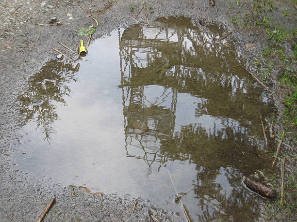 mirroring puddle stock photo