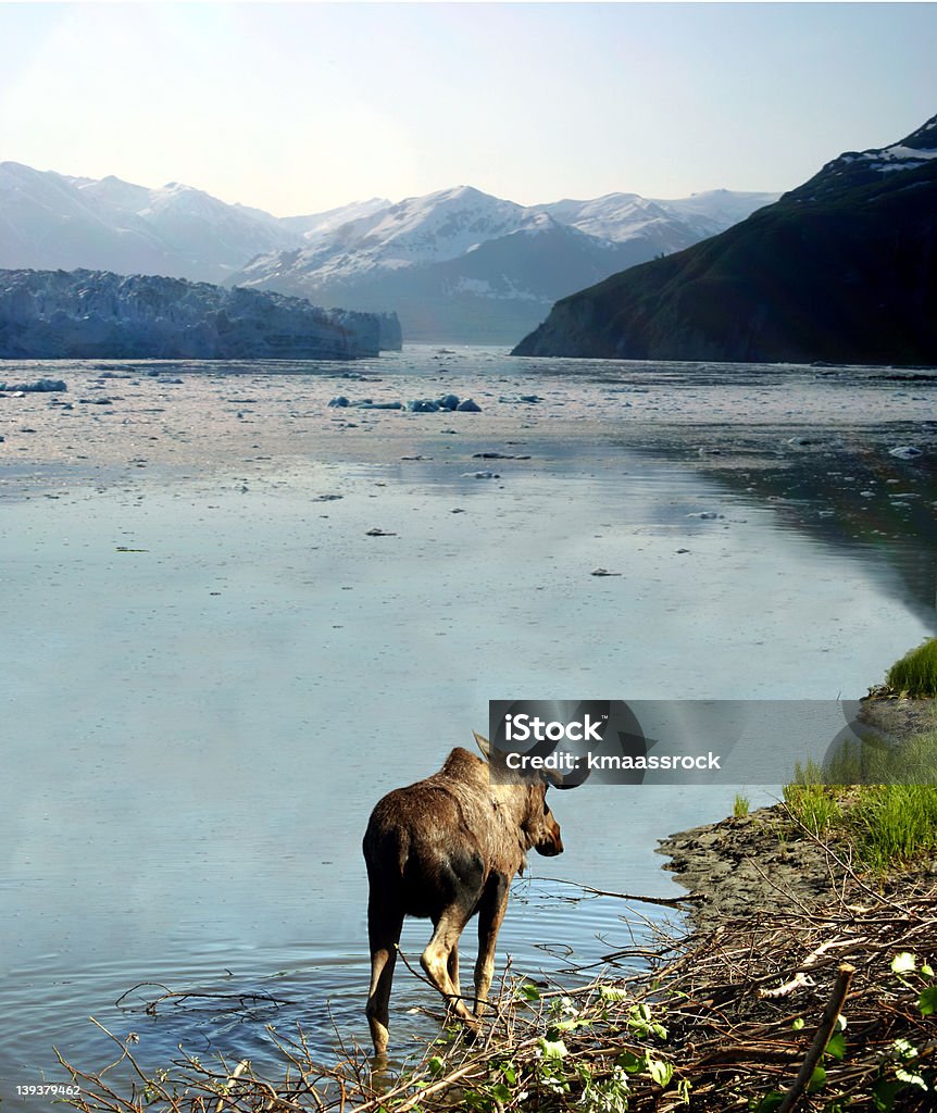 Alaska - Lizenzfrei Alaska - US-Bundesstaat Stock-Foto