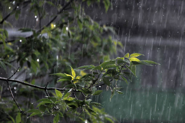 istock Summer downpour in the city 1393794982