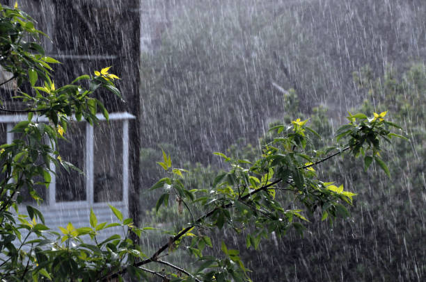istock Summer downpour in the city 1393795024