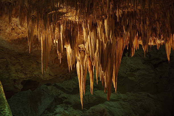 Stalactites in Carlsbad Caverns National Park Some very imposant stalactite formations in the Big Room of Carlsbad Caverns National Park (New Mexico). More than 755 feet below earth. This is the biggest accessible cave in the world! calcite stock pictures, royalty-free photos & images