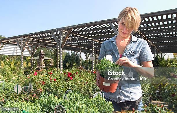 Im Blumenladens Ii Stockfoto und mehr Bilder von Kaufen - Kaufen, Strauch, Aushilfsverkäufer