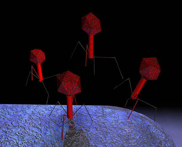 Cтоковое фото Бактериофаг attack