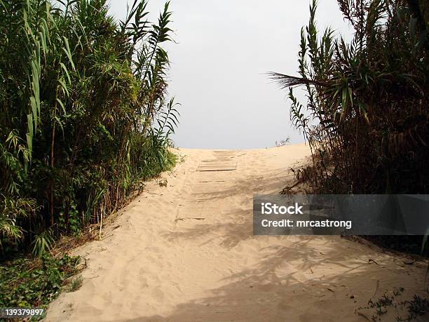 Foto de Tropical Caminho e mais fotos de stock de Arbusto - Arbusto, Areia, Caminho de Jardim