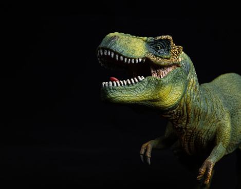 Tyrannosaurus Rex on black background