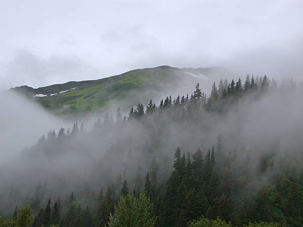 Misty hills – Foto