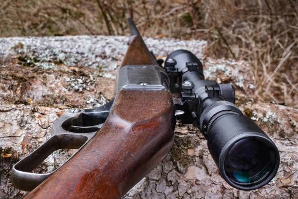 istock Hunting Rifle Detail 1393800019