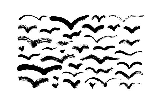 abstrakte fliegende vögel vektor cliparts sammlung. - scribble inks on paper black art stock-grafiken, -clipart, -cartoons und -symbole