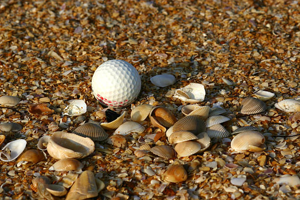 Golf ball on the beach. stock photo