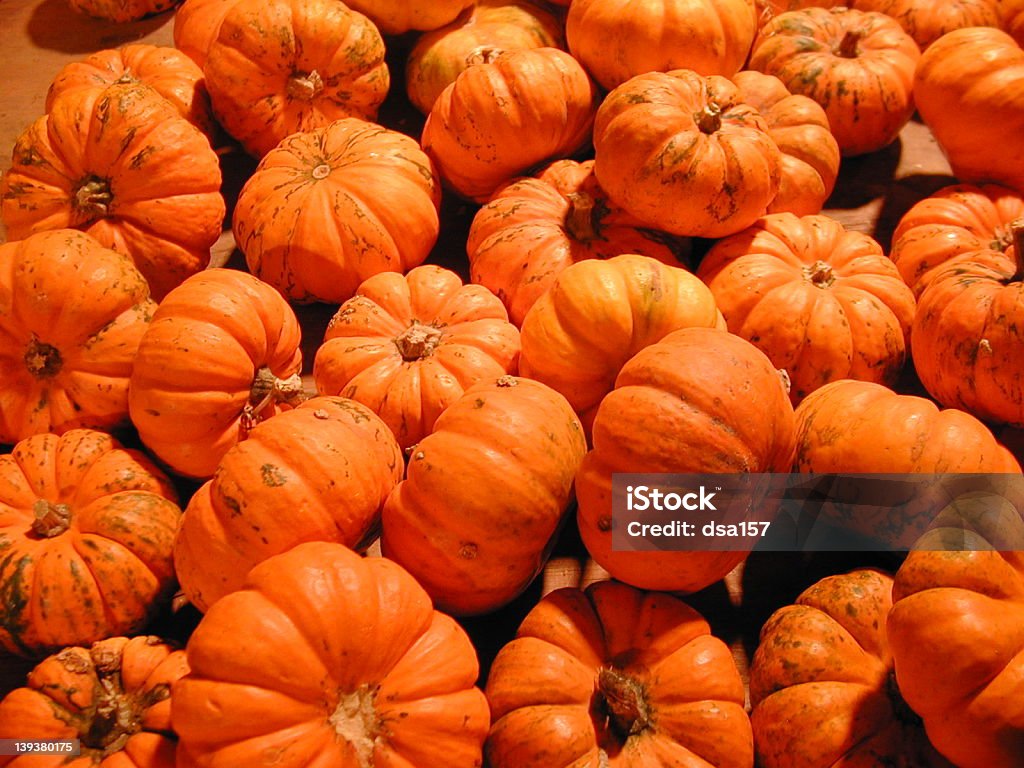 Mini Pumpkins - Foto stock royalty-free di Abbondanza