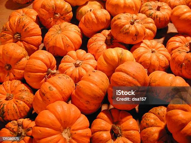 Mini Pumpkins - Fotografie stock e altre immagini di Abbondanza - Abbondanza, Arancione, Autunno