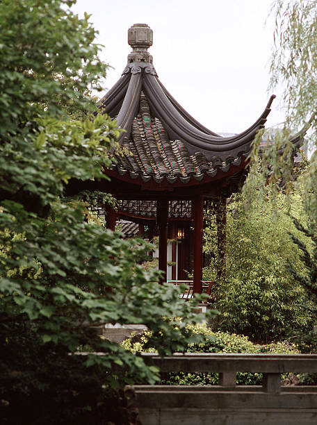 Chinese Garden Chinese Garden, Vancouver, British Columbia, Canada east vancouver stock pictures, royalty-free photos & images