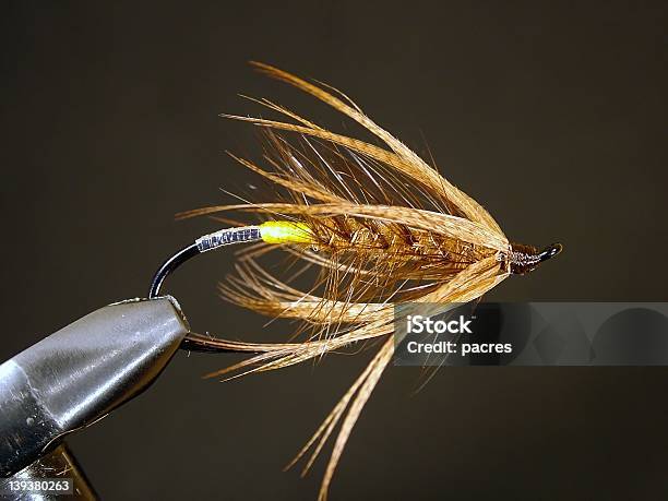 Foto de Rusty Aranha Spey Fly e mais fotos de stock de Anzol de pesca - Anzol de pesca, Aranha - Aracnídeo, Enferrujado