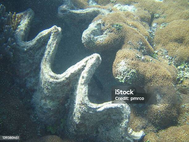 Grande Barriera Corallina 4 - Fotografie stock e altre immagini di Acqua - Acqua, Andare in barca a vela, Anemone