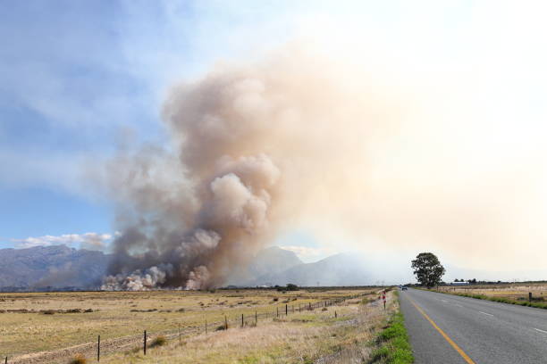 istock Smoke billowing from a grassland fire on a farm near Worcester 1393804906
