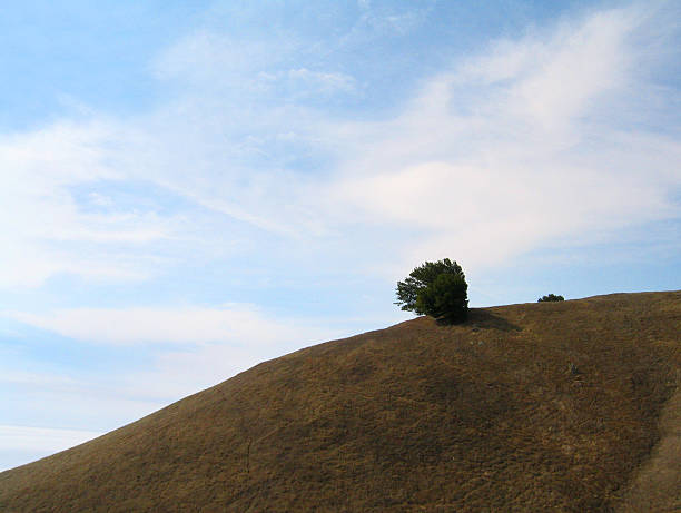 Splendido isolamento - foto stock